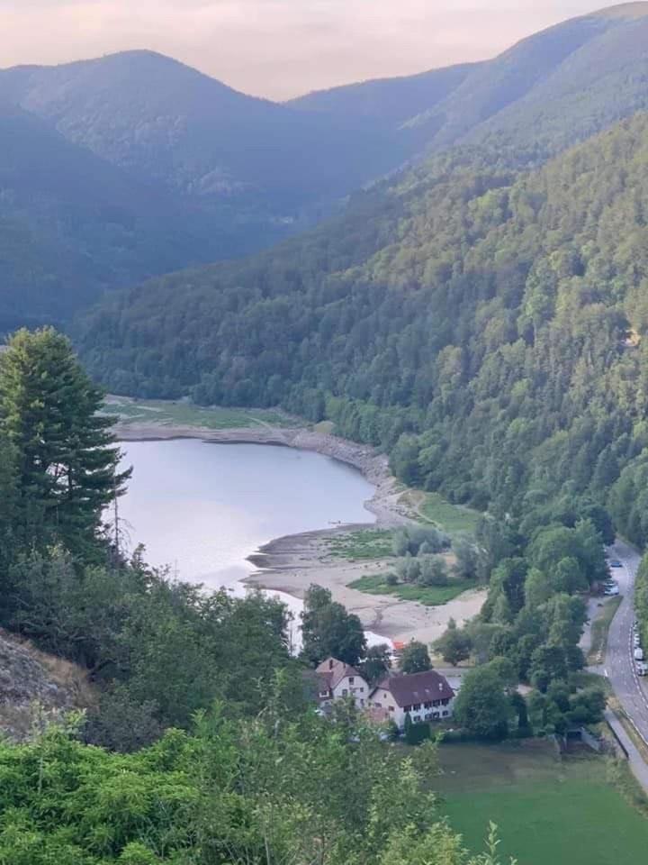 Petite Maison Au Calme Avec Jardin Cloture Les Animaux Bienvenue Mollau Eksteriør bilde