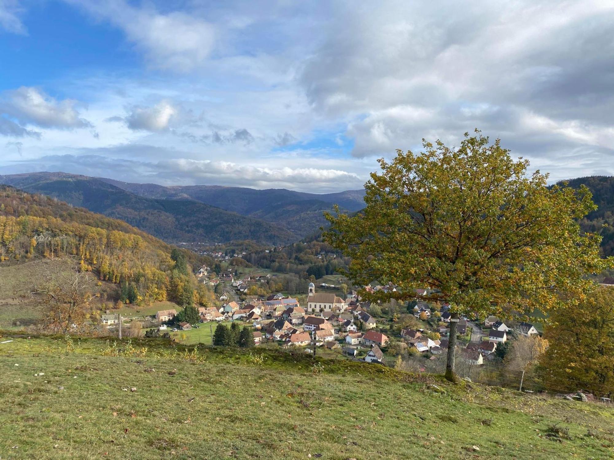 Petite Maison Au Calme Avec Jardin Cloture Les Animaux Bienvenue Mollau Eksteriør bilde